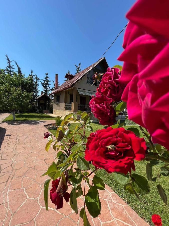 Villa Katerina Nea Kallikrateia Exterior foto